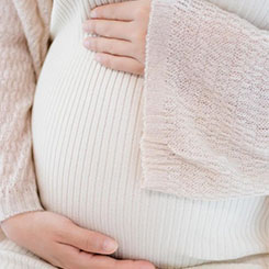 它们能进入机械无◽人机难以到达的🤔🍛区域，🇧🇴可用于支🧣🈲持救援任务🆖🖇